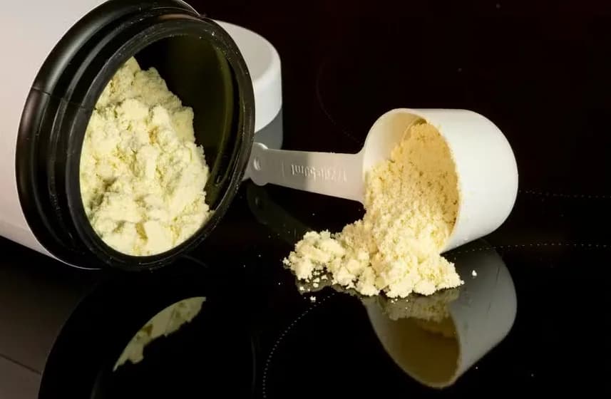 Whey protein em pó e suplemento proteico
